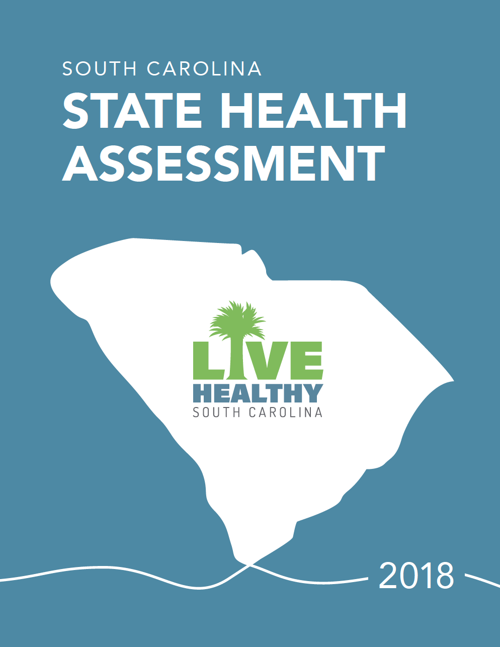Cover Image for the State Health Assessment